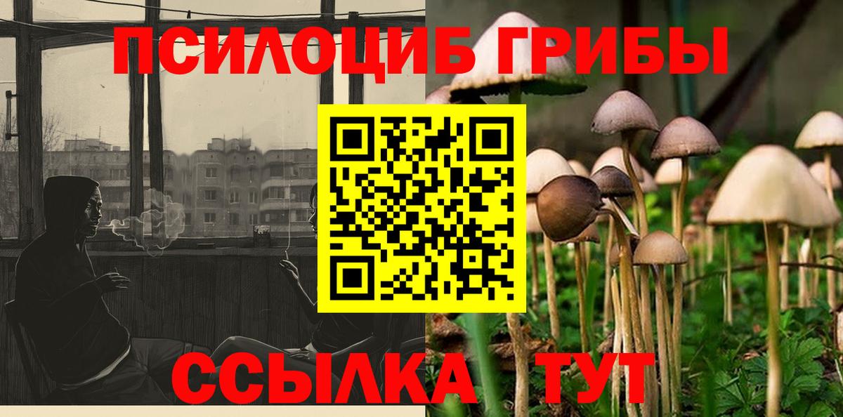 Галлюциногенные грибы мицелий Сибай