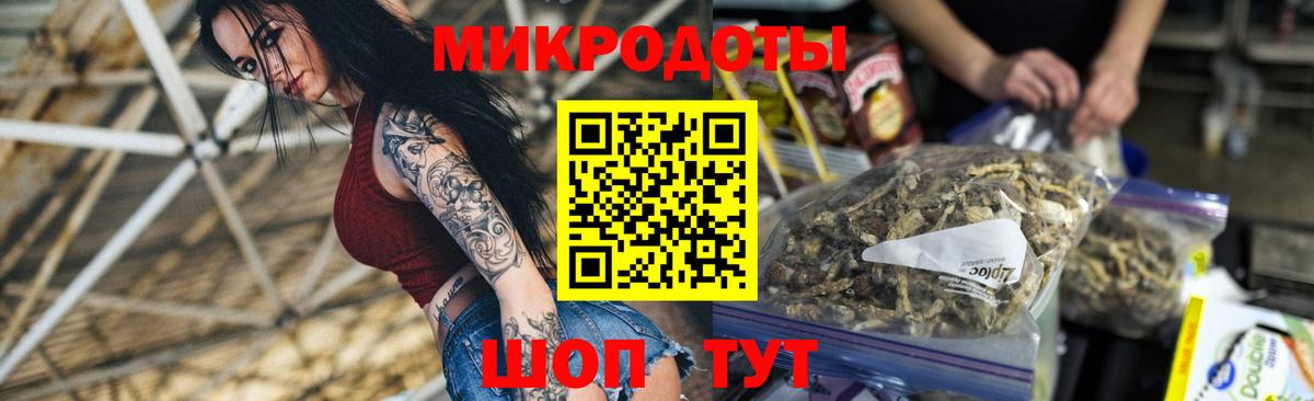 Сибай  Псилоцибиновые грибы Cubensis  Вход с VPN 